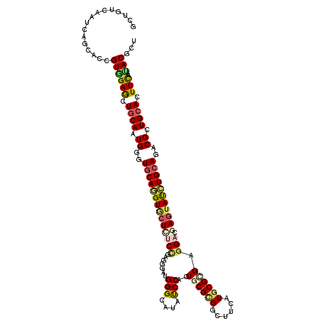 secondary structure