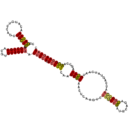 secondary structure