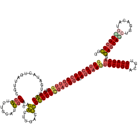 secondary structure