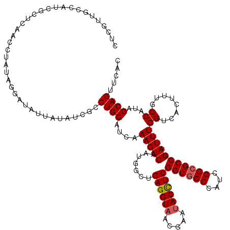 secondary structure