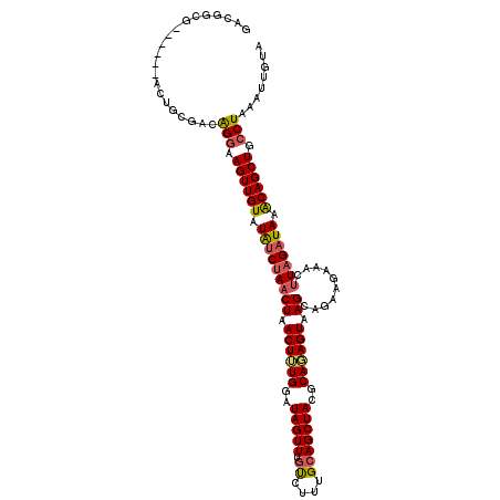 secondary structure