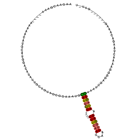 secondary structure
