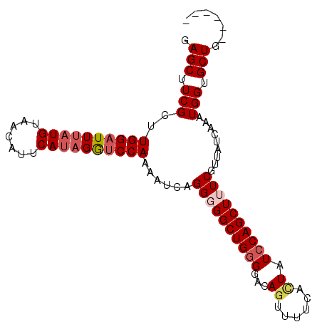 secondary structure