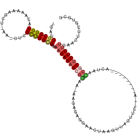 secondary structure
