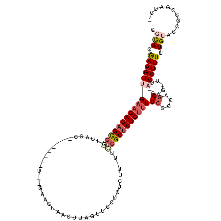 secondary structure