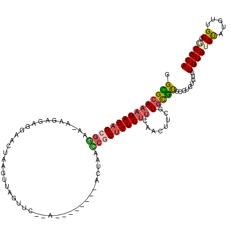 secondary structure