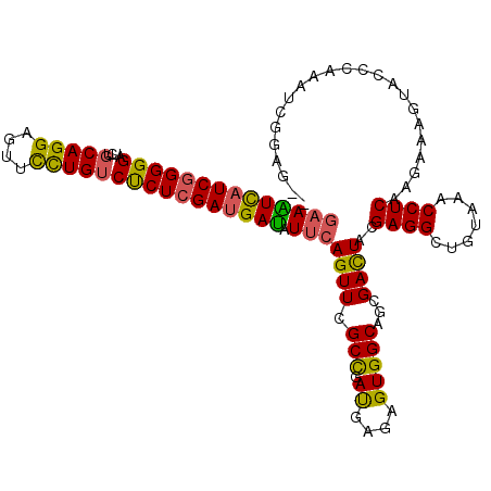 secondary structure