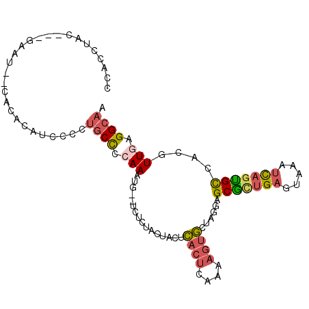 secondary structure