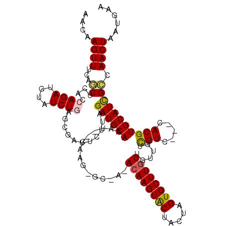 secondary structure