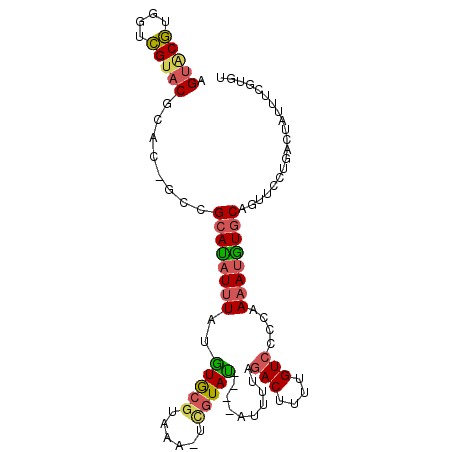 secondary structure