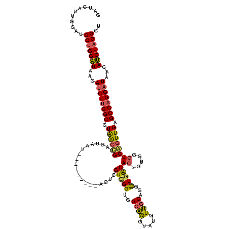 secondary structure