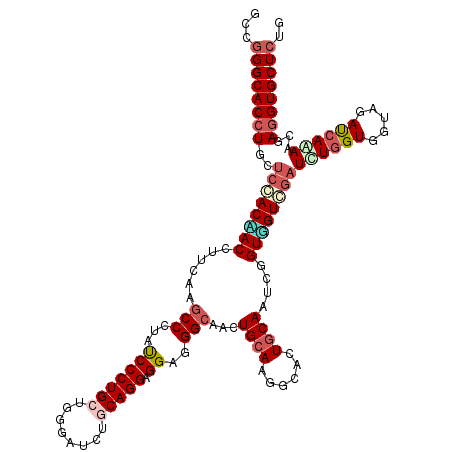 secondary structure