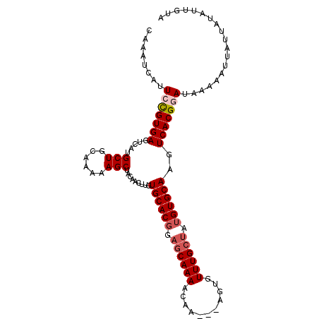 secondary structure
