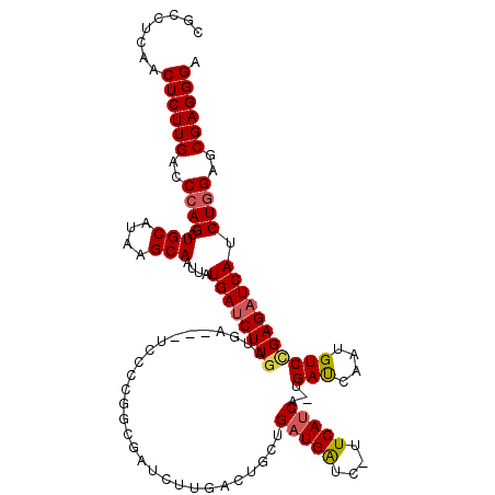 secondary structure