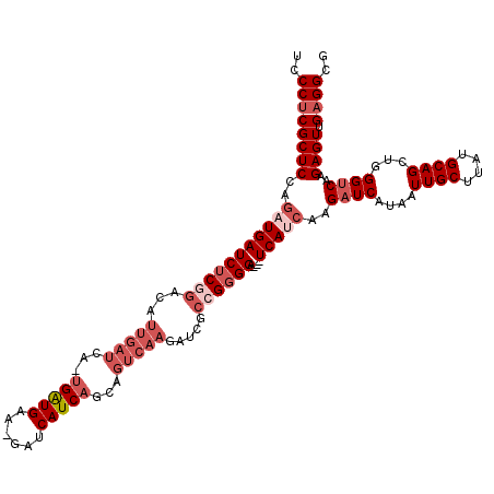 secondary structure