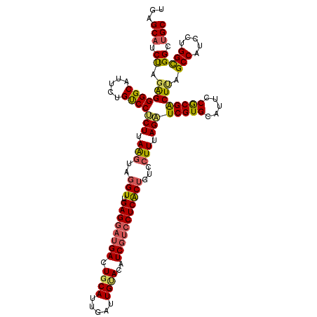 secondary structure