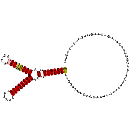 secondary structure
