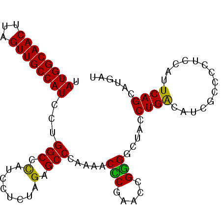secondary structure