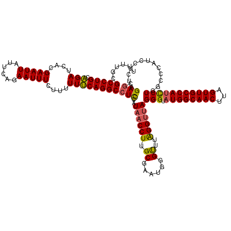 secondary structure