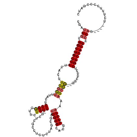 secondary structure