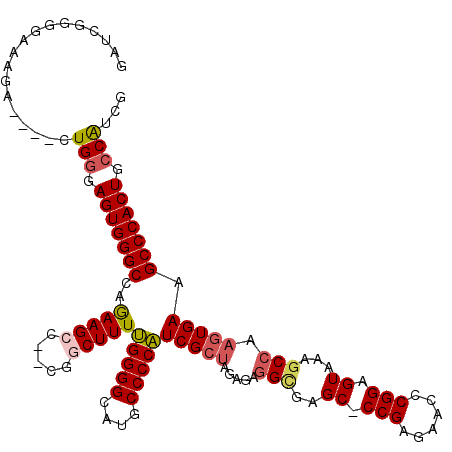 secondary structure