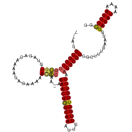 secondary structure