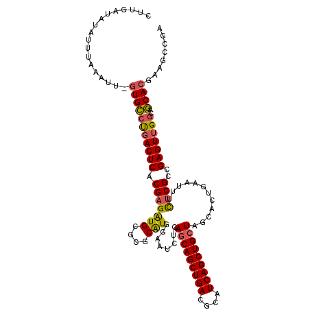 secondary structure