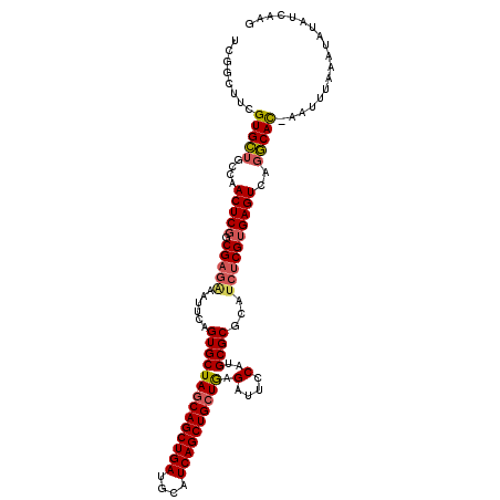 secondary structure