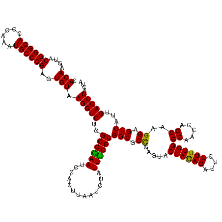 secondary structure