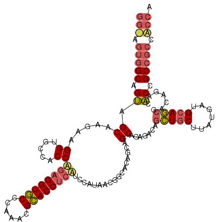 secondary structure