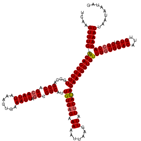 secondary structure