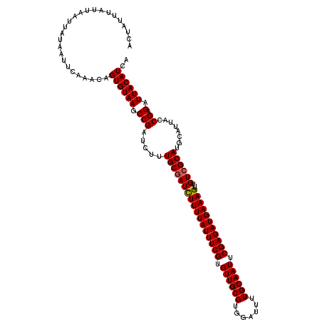 secondary structure