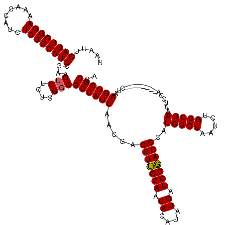 secondary structure