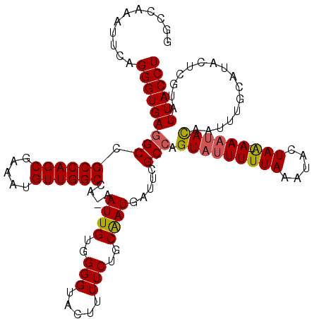 secondary structure