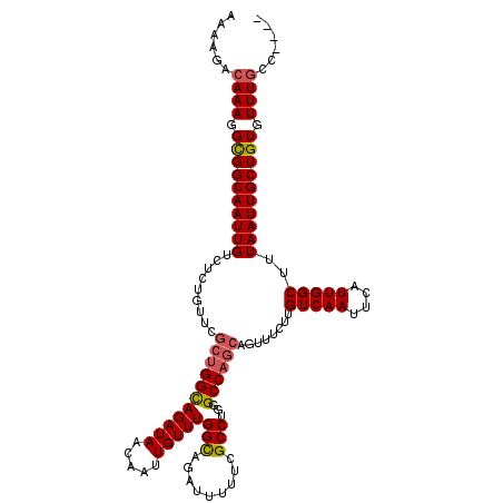 secondary structure