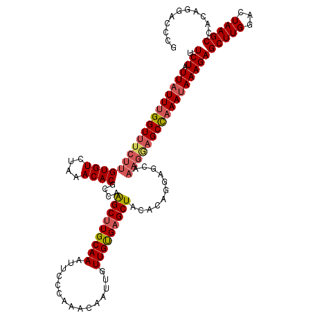secondary structure