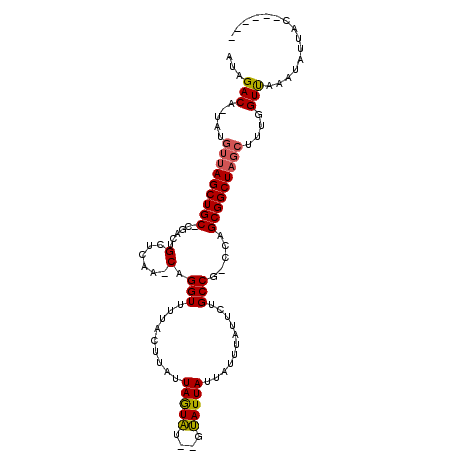 secondary structure