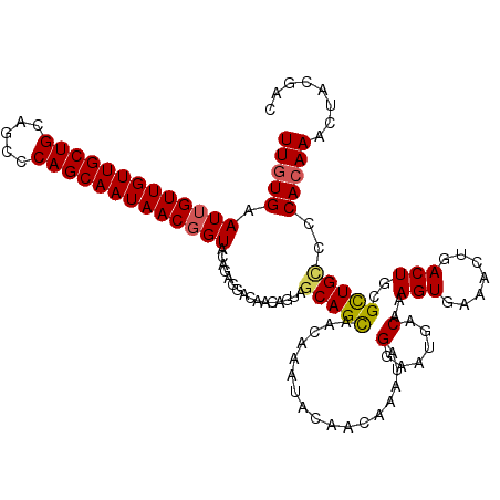 secondary structure