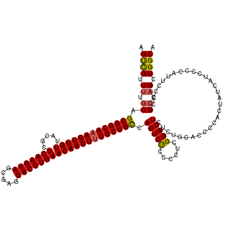 secondary structure