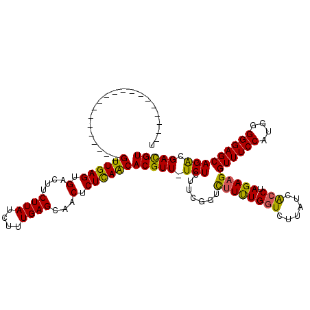 secondary structure