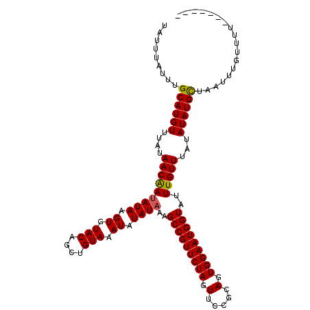 secondary structure