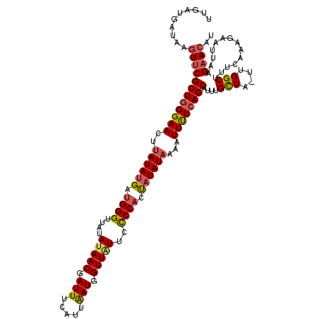 secondary structure