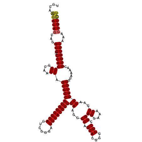 secondary structure