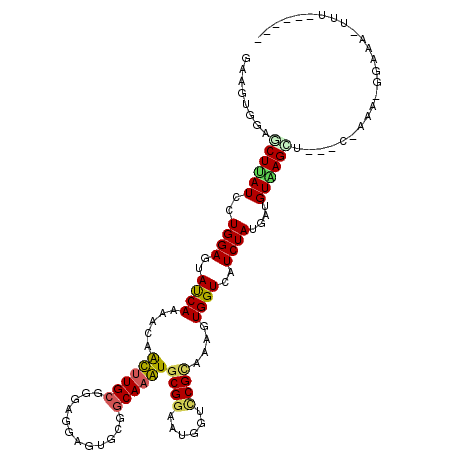 secondary structure
