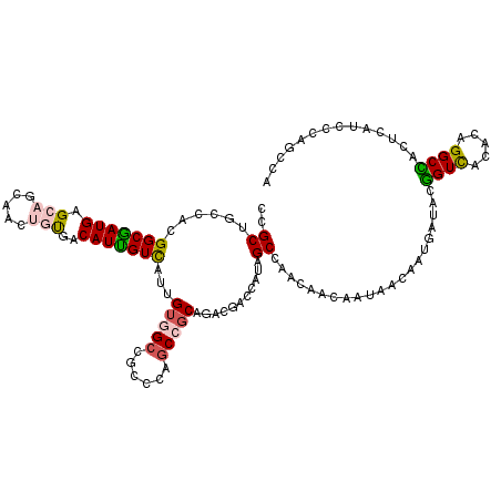 secondary structure