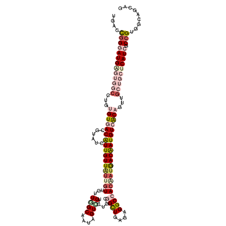 secondary structure