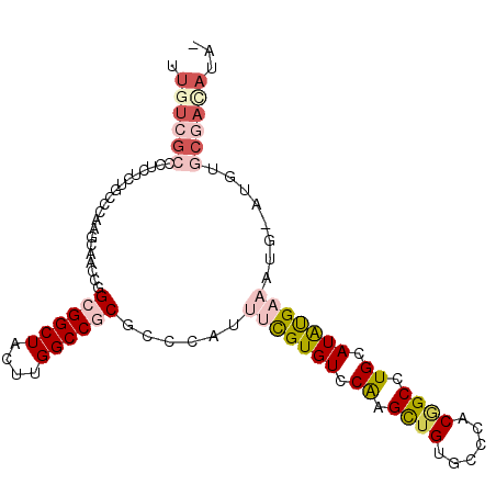 secondary structure
