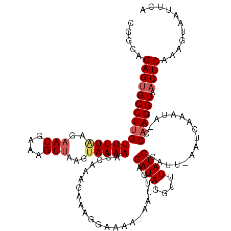 secondary structure