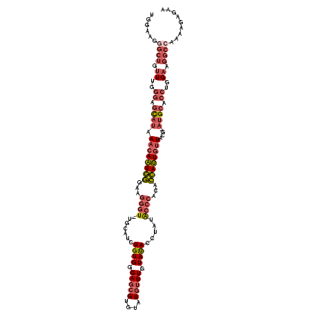 secondary structure
