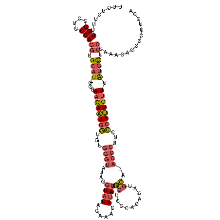 secondary structure